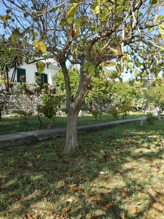Villa Ninetta-Isabella Gaeta Buitenkant foto